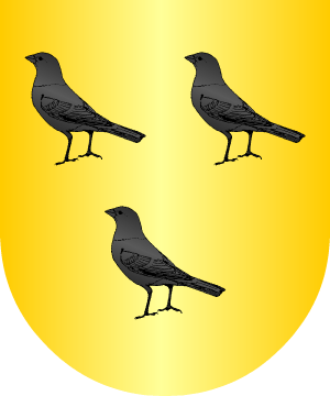 ESCUDO ALEATORIO